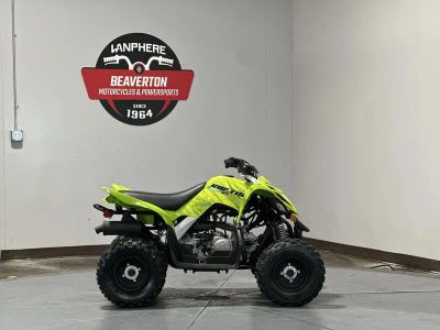 2026 Yamaha Raptor 110 - Photo 5