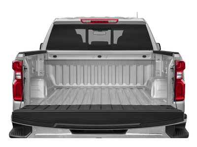 2019 Chevrolet Silverado 1500 — photo 17 view