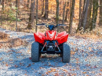 2026 Honda TRX90X - Photo 5