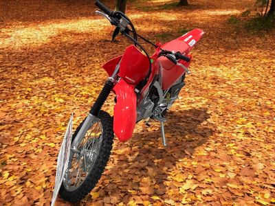 2026 Honda CRF125F - Big Wheel - Photo 2