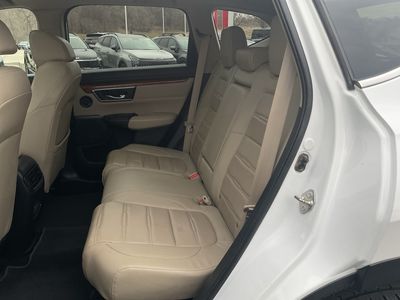 2019 Honda CR-V — photo 14 view