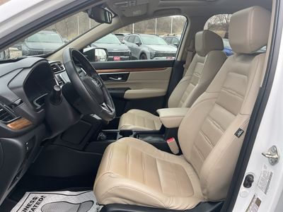 2019 Honda CR-V — photo 9 view