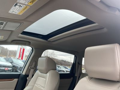 2019 Honda CR-V — photo 24 view