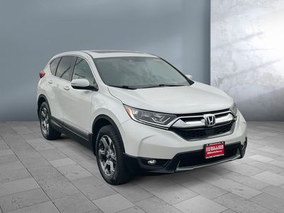 2019 Honda CR-V — photo 8 view