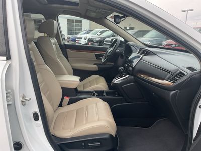 2019 Honda CR-V — photo 15 view