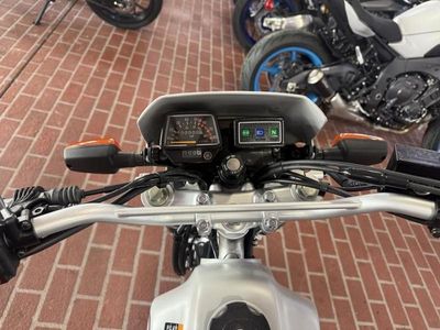 2026 Yamaha TW200 - Photo 12