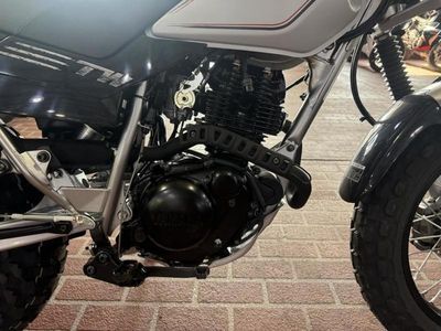 2026 Yamaha TW200 - Photo 15