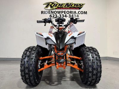 2026 Kayo Predator 125 - Photo 7