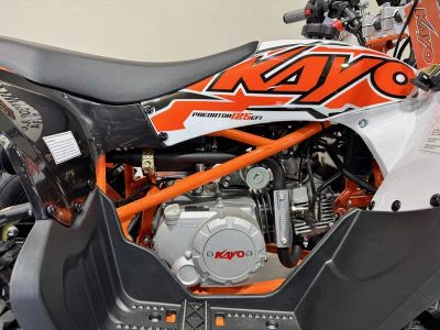 2026 Kayo Predator 125 - Photo 11