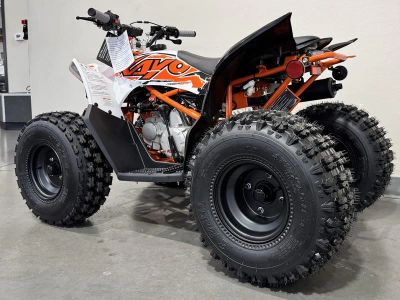 2026 Kayo Predator 125 - Photo 6