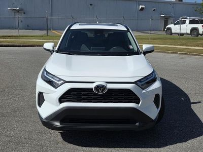 2025 Toyota RAV4 - Photo 2
