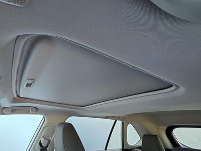 2025 Toyota RAV4 - Photo 8
