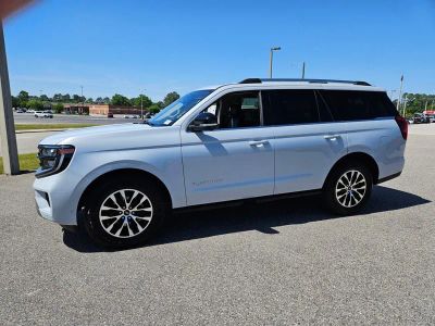 2025 Ford Expedition — rear three-quarter view