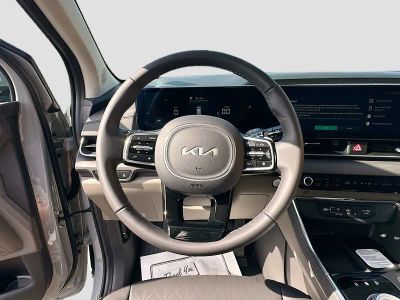 2026 Kia Carnival Hybrid — photo 11 view