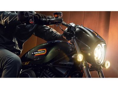 2026 Harley-Davidson Nightster Special - Photo 9