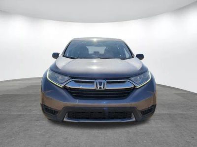 2019 Honda CR-V - Photo 2
