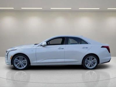 2025 Cadillac CT4 — side profile view