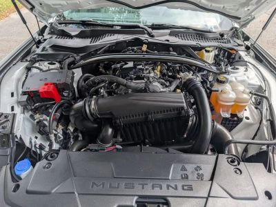 2024 Ford Mustang - Photo 10