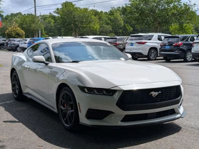2024 Ford Mustang - Photo 7