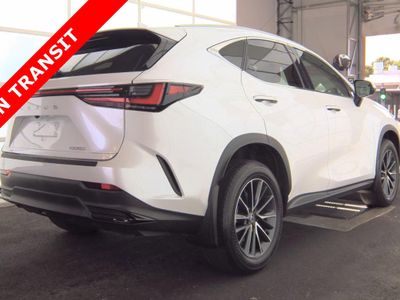 2024 Lexus NX - Photo 4