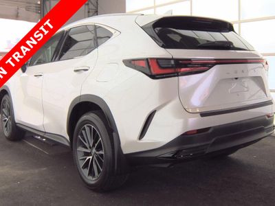 2024 Lexus NX - Photo 5