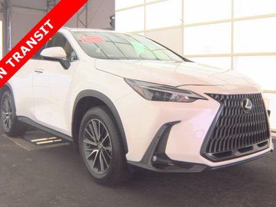 2024 Lexus NX - Photo 3