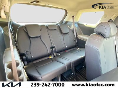 2026 Kia Carnival Hybrid — photo 19 view