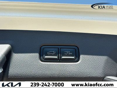 2026 Kia Carnival Hybrid — photo 11 view