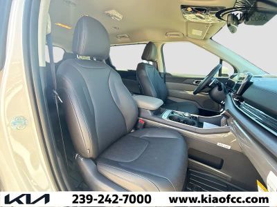 2026 Kia Carnival Hybrid — photo 13 view
