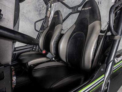 2015 Kawasaki Teryx4 - Photo 10