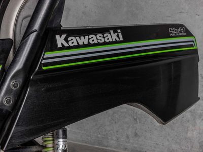 2015 Kawasaki Teryx4 - Photo 8