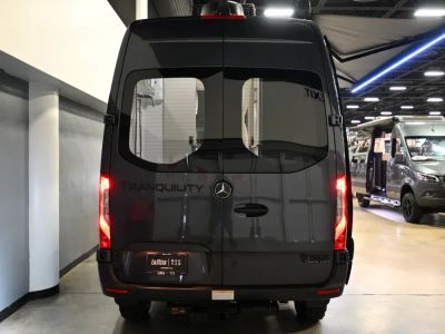 2027 Thor Motor Coach TRANQUILITY — rear three-quarter view
