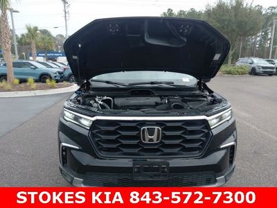 2023 Honda Pilot - Photo 8