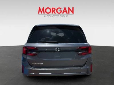 2026 Honda Odyssey — detail view