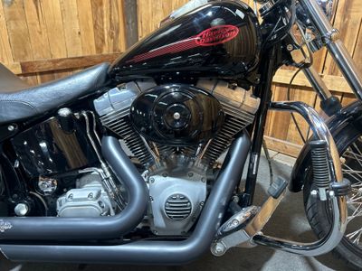 2006 Harley-Davidson Softail Standard - Photo 9