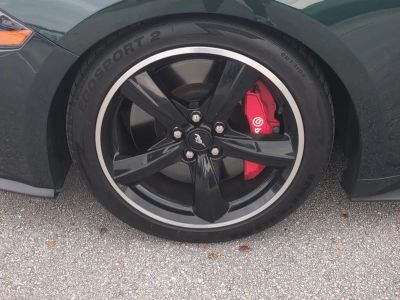 2019 Ford Mustang — photo 11 view