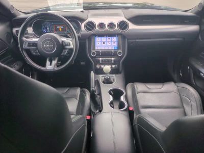 2019 Ford Mustang — photo 14 view