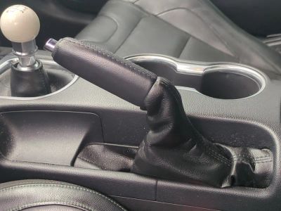 2019 Ford Mustang — photo 29 view