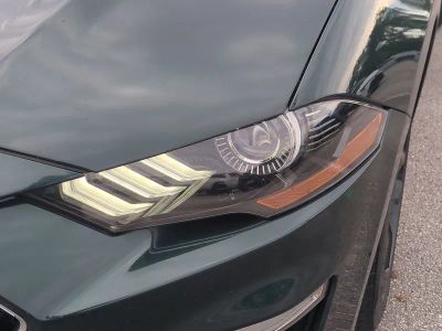 2019 Ford Mustang — photo 10 view