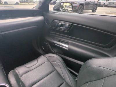 2019 Ford Mustang — photo 16 view