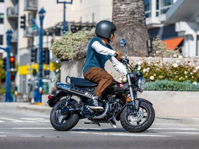 2026 Honda Dax 125 - Photo 14