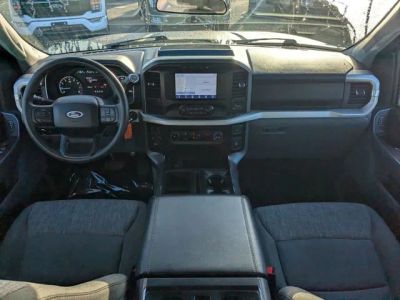 2023 Ford F-150 — photo 11 view