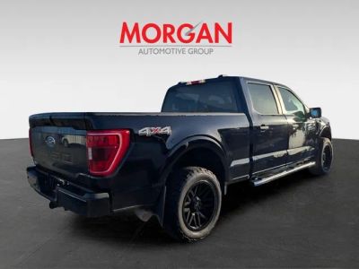 2023 Ford F-150 — rear three-quarter view