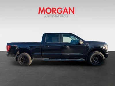 2023 Ford F-150 — side profile view