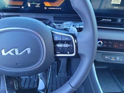 2026 Kia Carnival Hybrid — photo 19 view