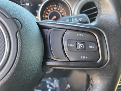2019 Jeep Wrangler — photo 24 view
