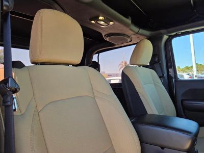 2019 Jeep Wrangler — photo 11 view
