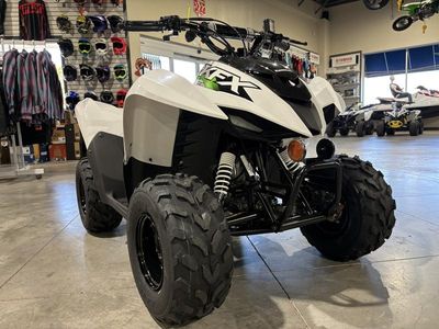 2026 Kawasaki KFX50 - Photo 4