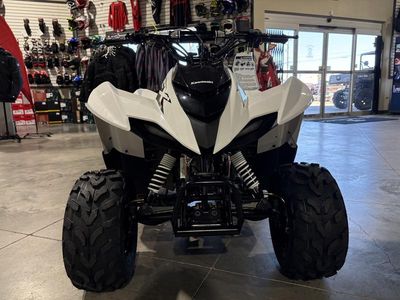2026 Kawasaki KFX50 - Photo 5
