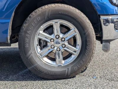 2024 Ford F-150 — photo 11 view